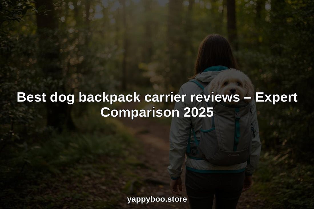 dog backpack carrier reviews hero header image