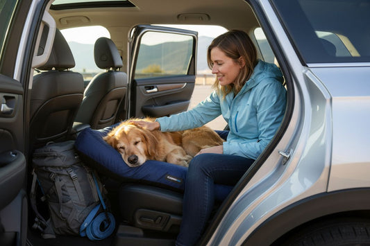 dog travel bed car