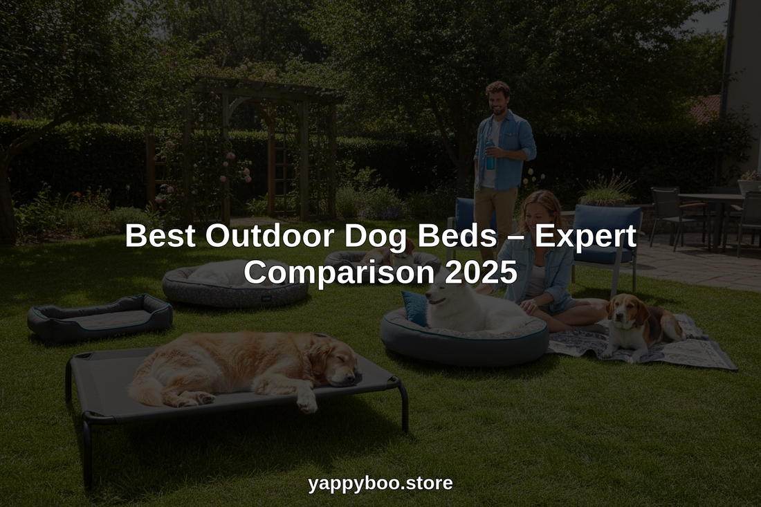 best outdoor dog beds hero header image