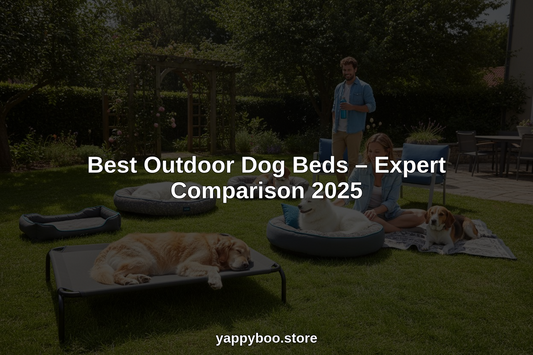 best outdoor dog beds hero header image