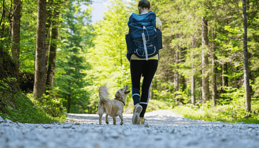 The Ultimate Guide to Hiking with Your Dog Safely