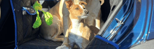 Transform Road Trips with the Perfect Back Seat Extender for Dogs