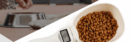 🐾 Why Every Pet Owner Needs a Smart Food Scoop Scale