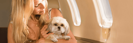 dogs on planes rules
