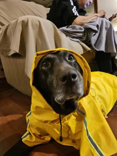 Yappyboo