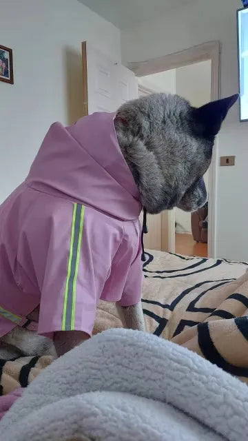 Yappyboo