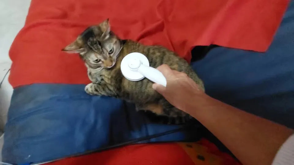 Yappyboo