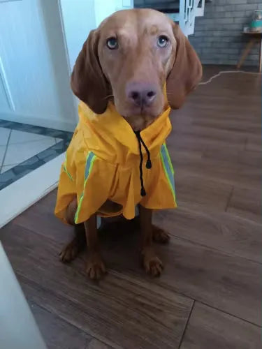 Yappyboo