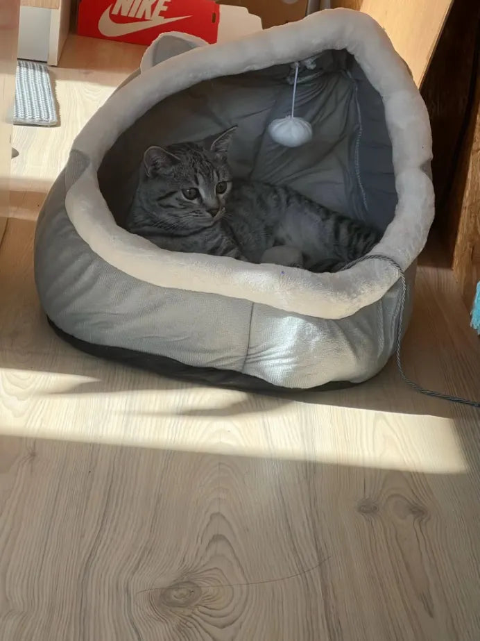 Yappyboo