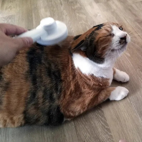 Yappyboo