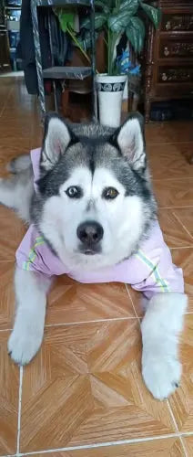 Yappyboo