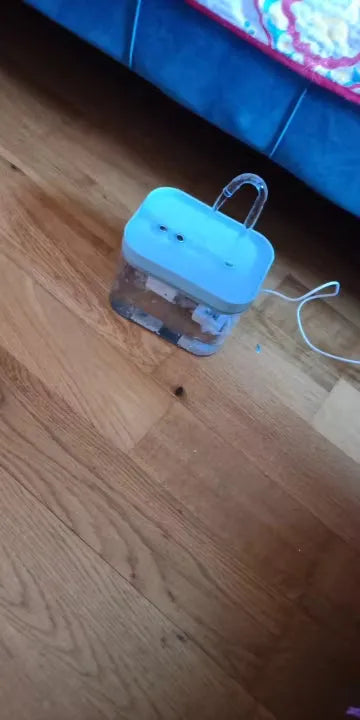Yappyboo