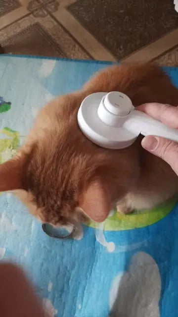 Yappyboo