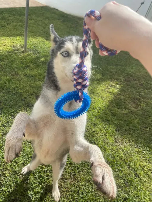 Yappyboo