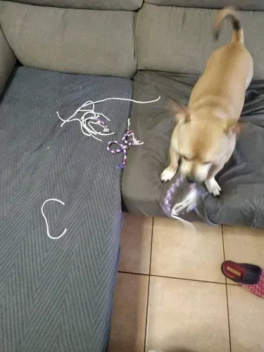 Yappyboo