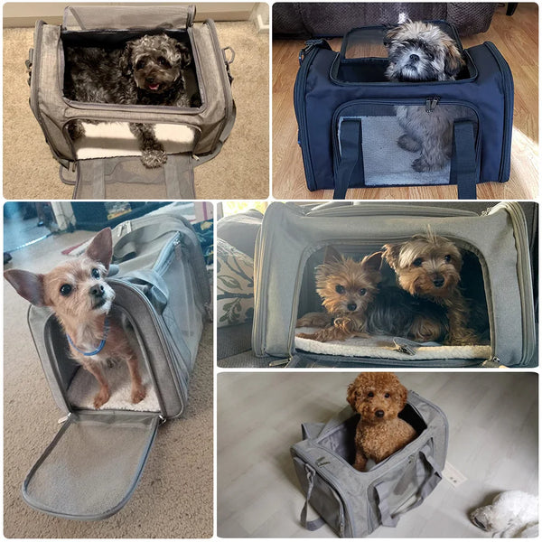 Travel Pet Carriers for Cats and Puppies – Lightweight, Collapsible, and Airline Approved - Yappyboo