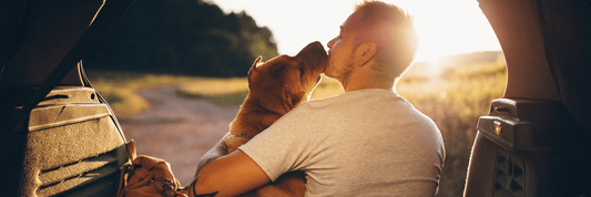 How to Prepare Your Dog for Long Road Trips