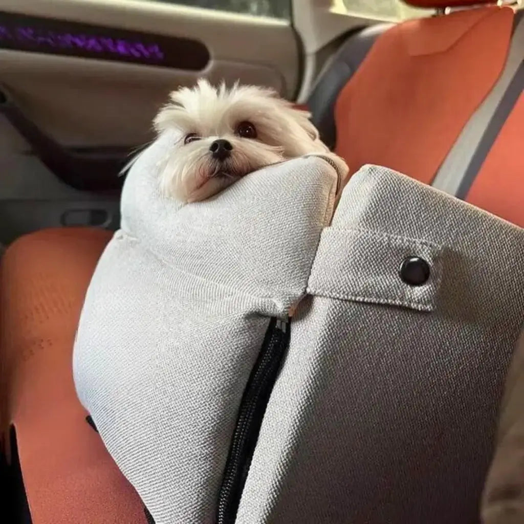 Car Travel Favorites