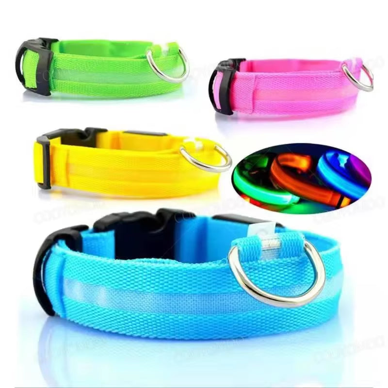 Bright Glow Dog Collar