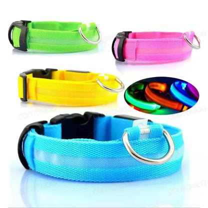 Bright Glow Dog Collar