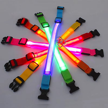 Bright Glow Dog Collar