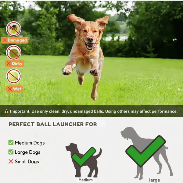 Fetch Fun Automatic Dog Launcher