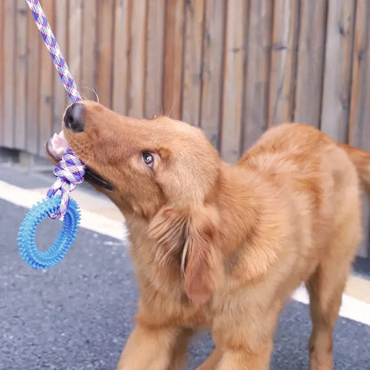 Interactive Pet Toy Ring - Yappyboo 