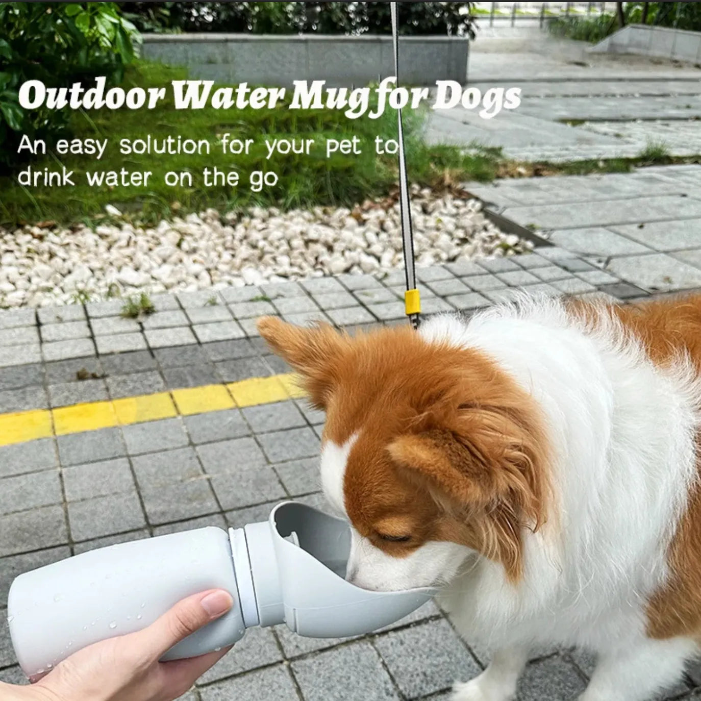 Folding Pet Water Dispenser - Yappyboo 