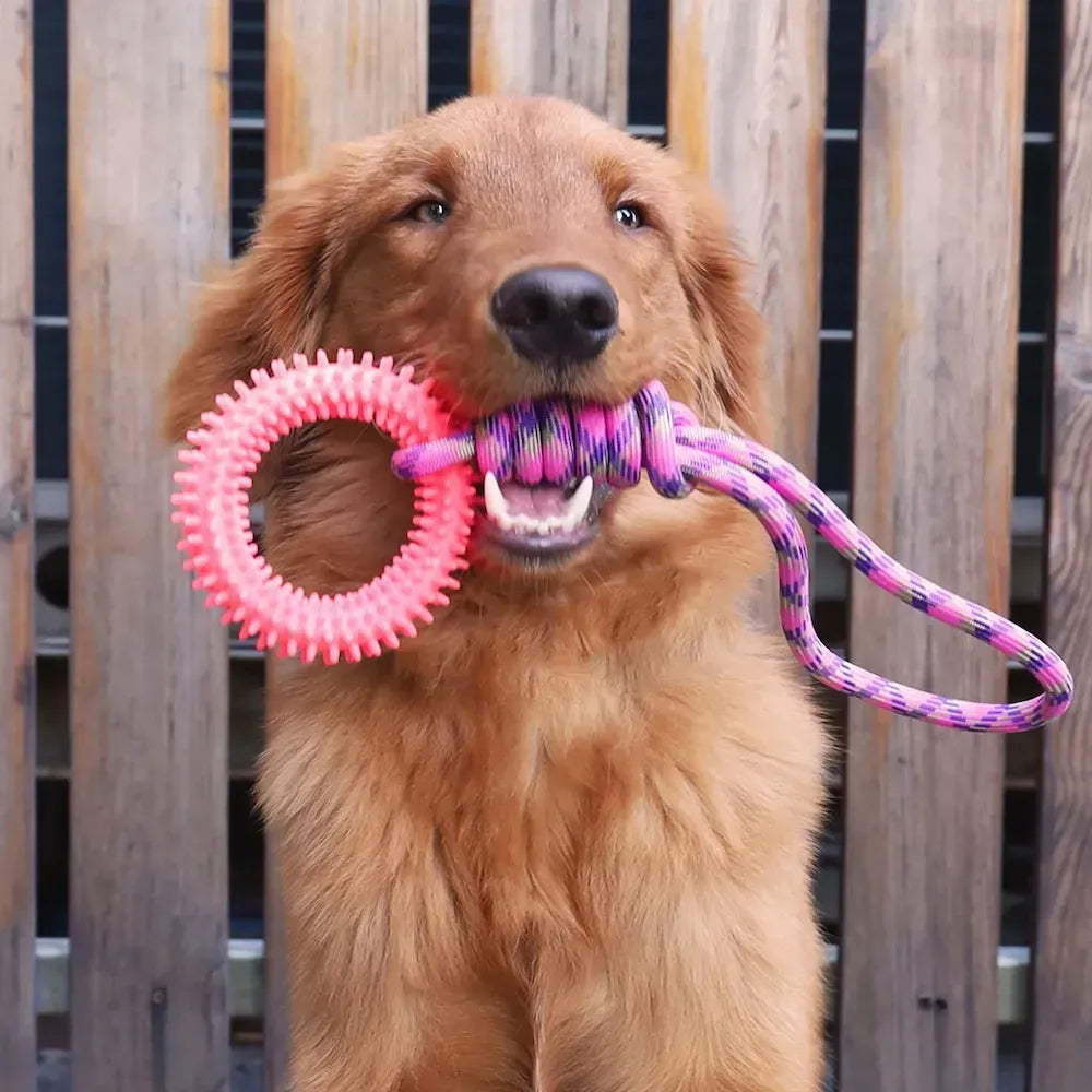 Interactive Pet Toy Ring - Yappyboo 