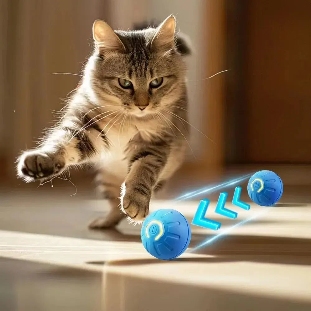 Smart USB Jumping Ball Toy - Yappyboo 