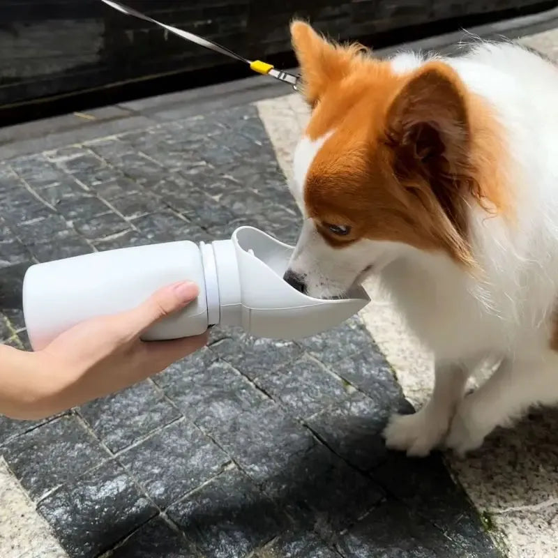 Folding Pet Water Dispenser - Yappyboo 