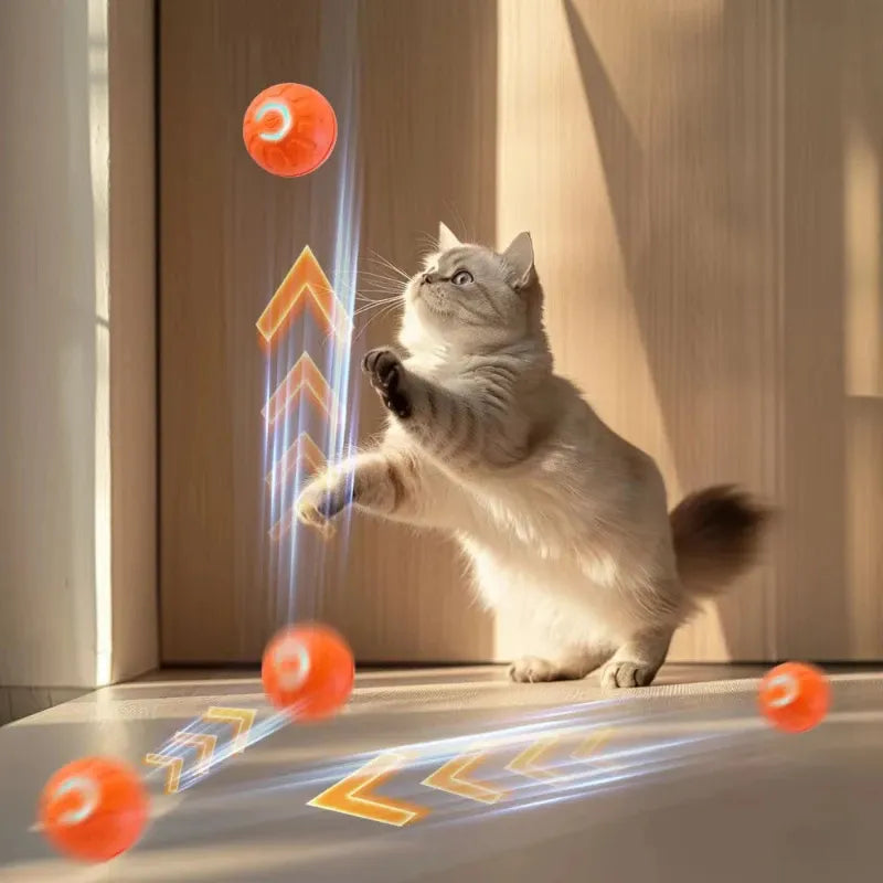 Smart USB Jumping Ball Toy - Yappyboo 