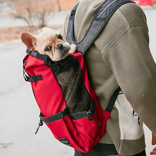 Adventure Dog Travel Pack - Yappyboo 