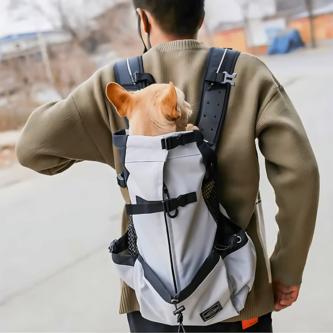 Adventure Dog Travel Pack - Yappyboo 