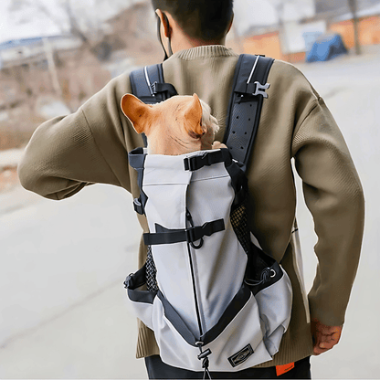 Adventure Dog Travel Pack - Yappyboo 