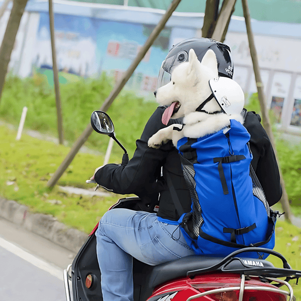 Paquete de viaje para perros de aventura