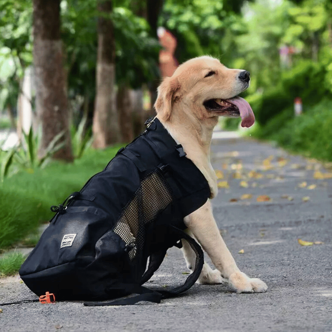 Adventure Dog Travel Pack - Yappyboo 