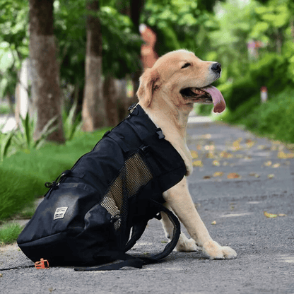 Adventure Dog Travel Pack - Yappyboo 