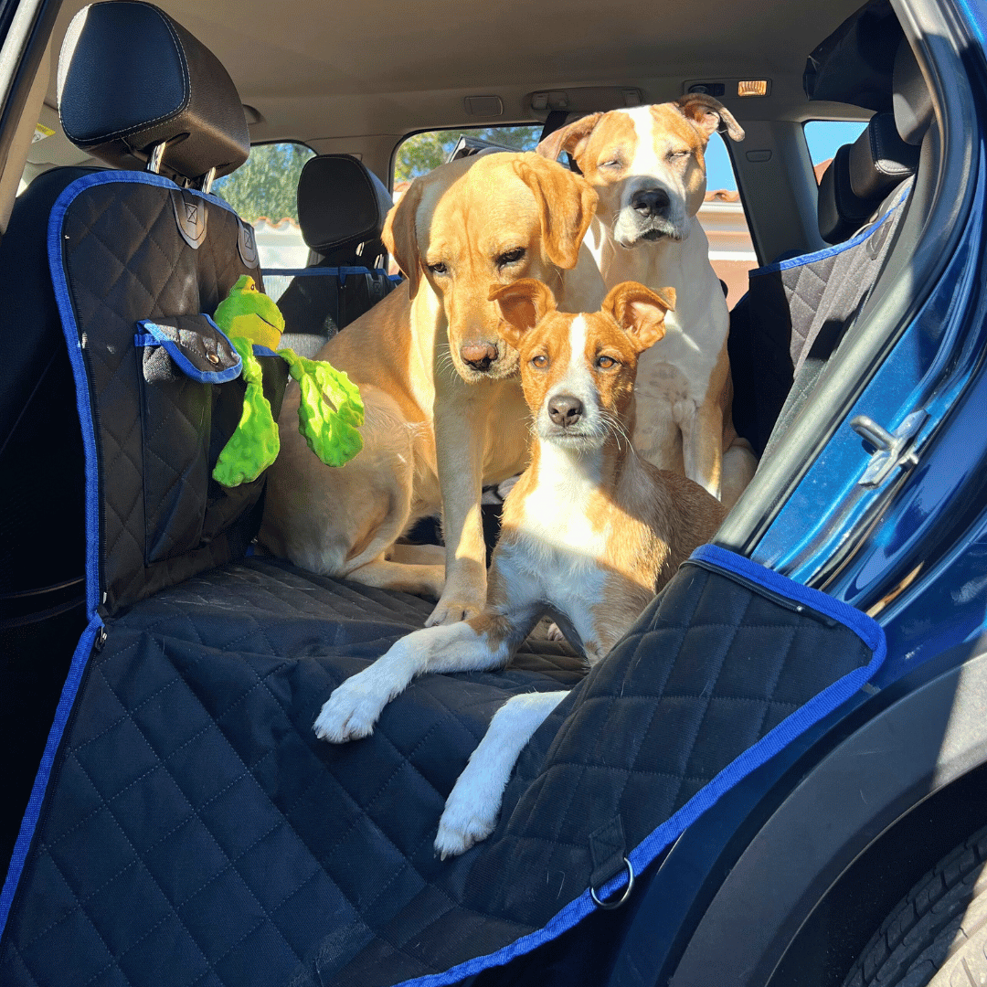 Backseat Extender for Dogs