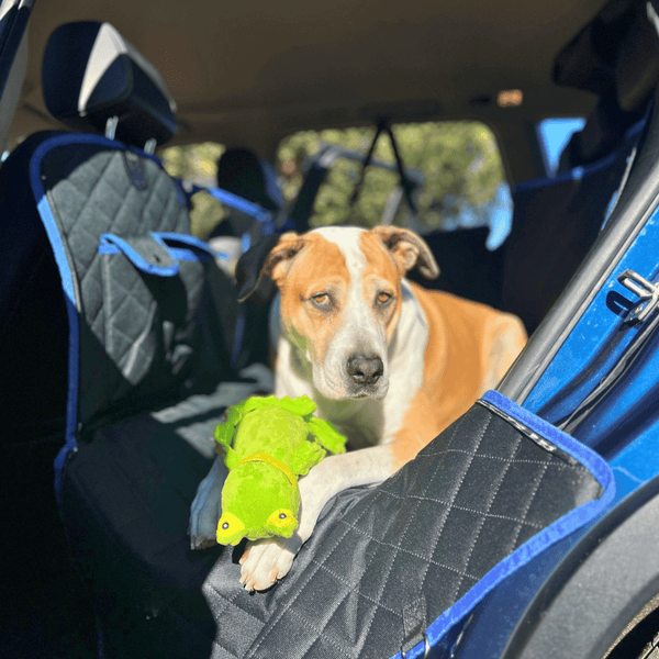 Backseat Extender for Dogs