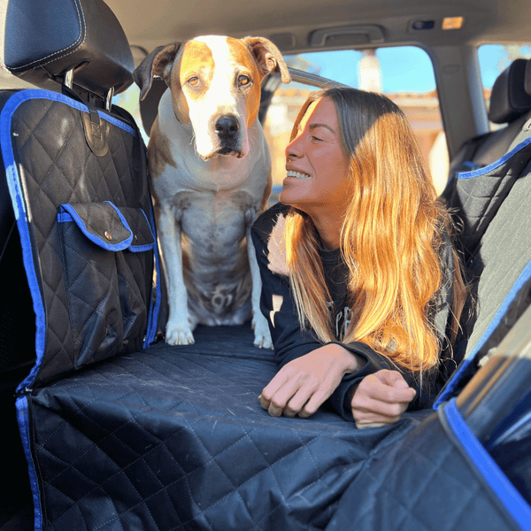 Pet-Friendly Car Seat Extender