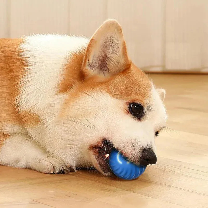 Smart USB Jumping Ball Toy - Yappyboo 