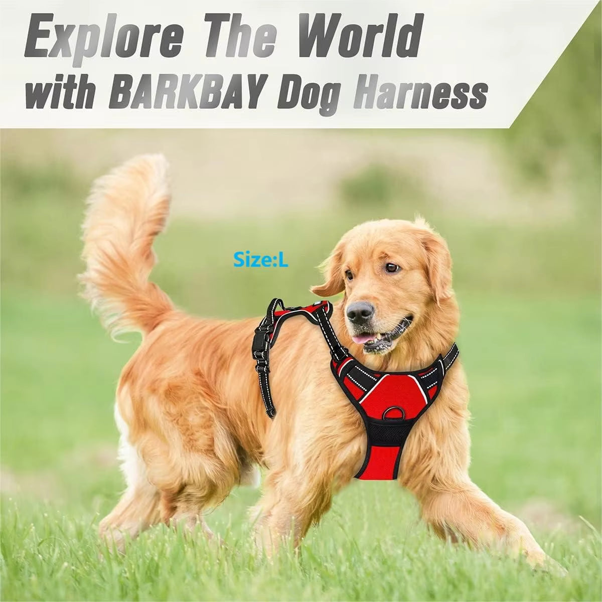 No Pull Dog Harness for Large Dog Walking