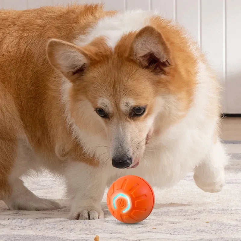 Smart USB Jumping Ball Toy - Yappyboo 