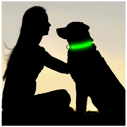 Bright Glow Dog Collar
