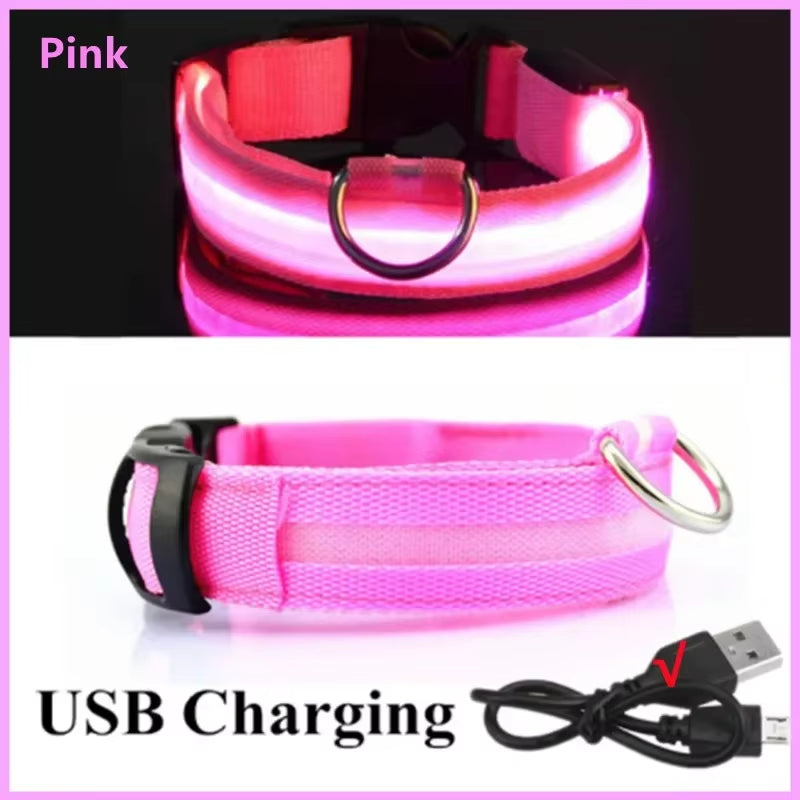 Bright Glow Dog Collar