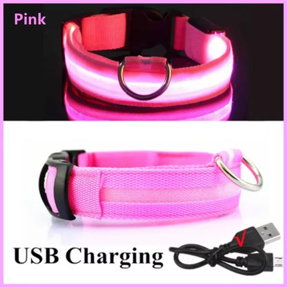 Bright Glow Dog Collar