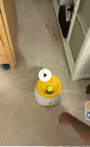 Yappyboo
