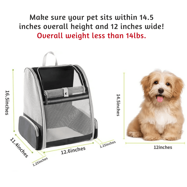  Yappyboo  Comfy Pet Travel Backpack  