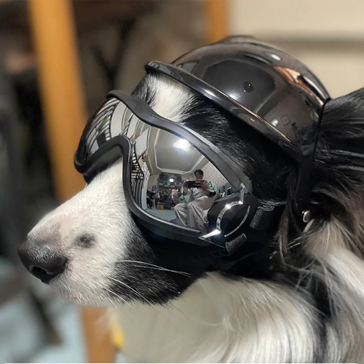 Protective Dog Helmet & Goggles Set for Safe Outdoor Adventures - Yappyboo 